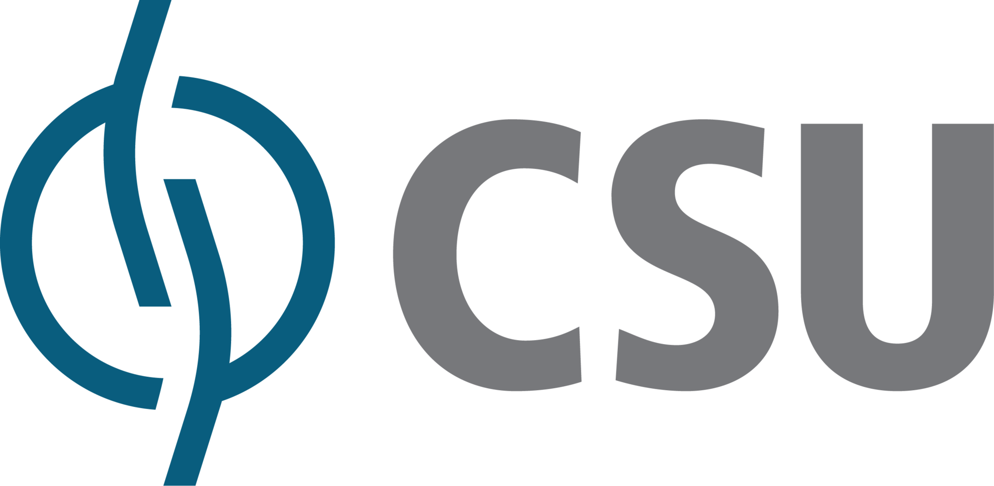csu-cardsystem-seeklogo